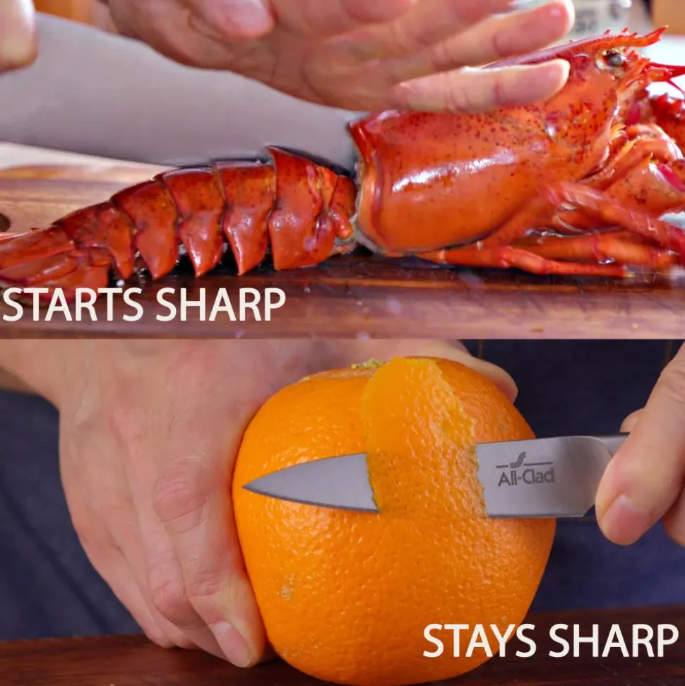 Forged Knives 8 Inch Chef's Knife | All-Clad