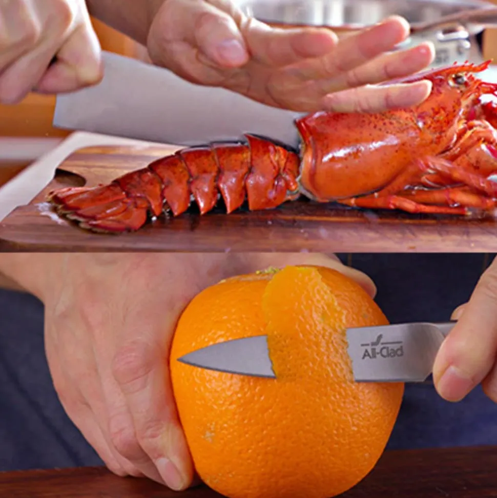 Forged Knives | Starter Knife Set | 3 Piece Knife Set | All-Clad