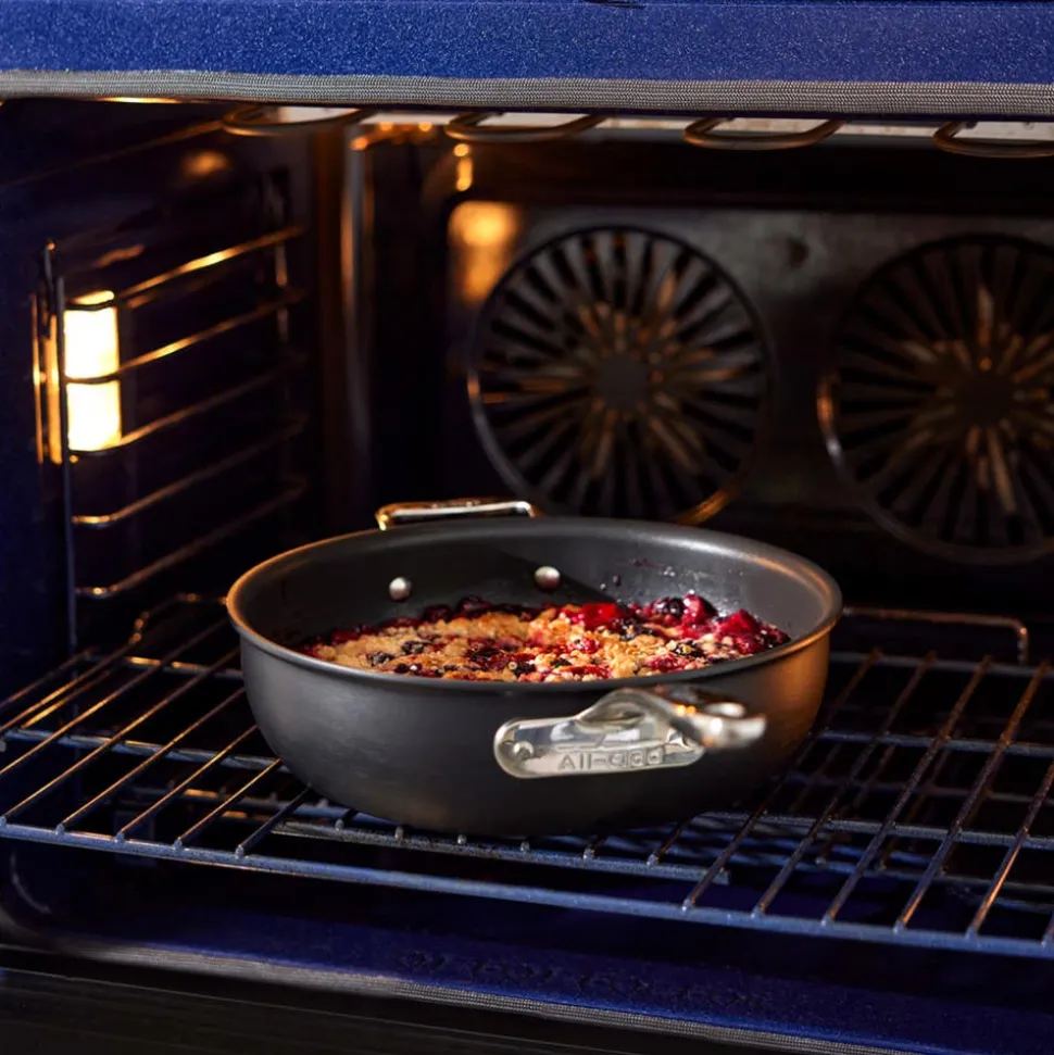 11-Inch Square Grill / Indoor Grilling with All-Clad NS Pro Precision