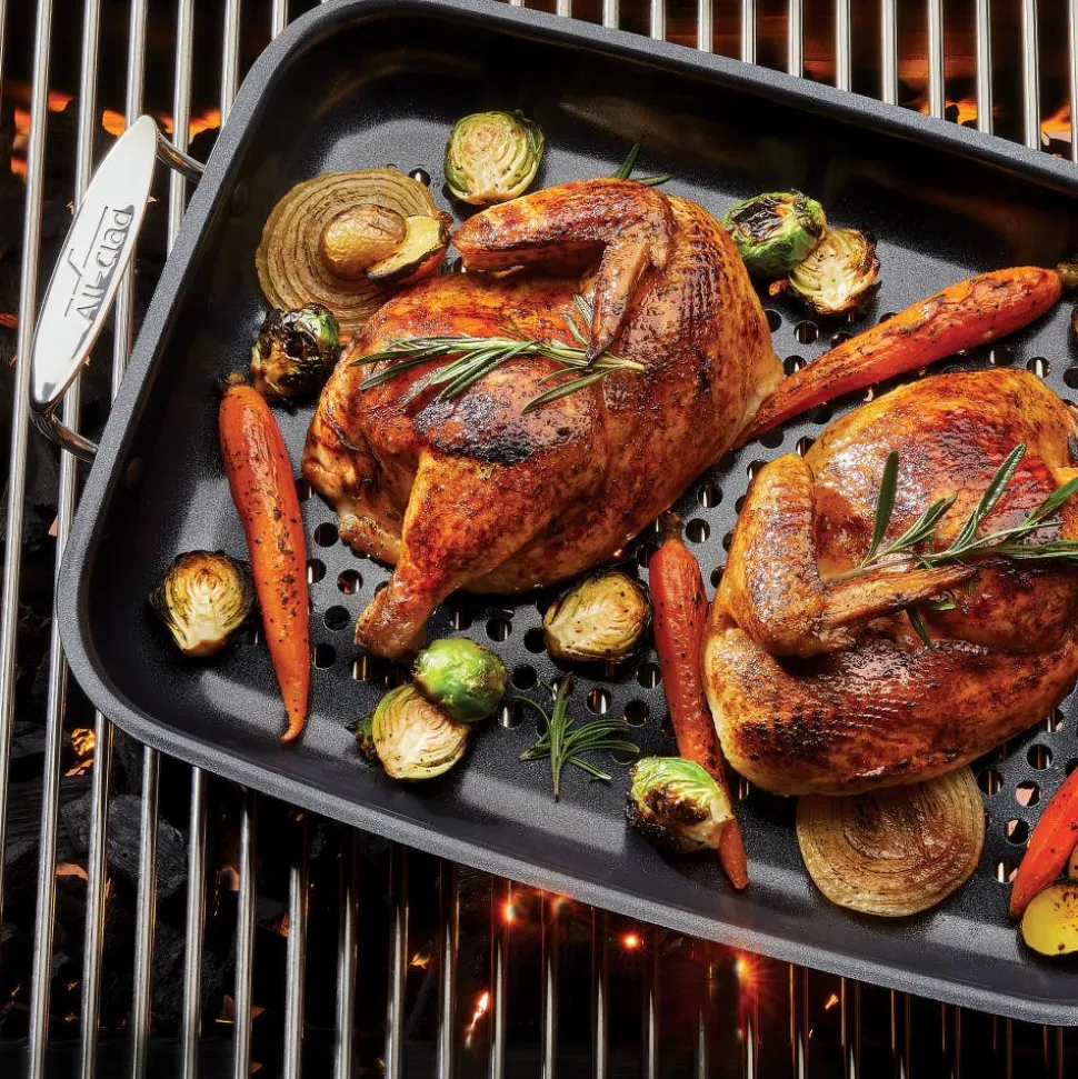 11-inch x 15-Inch Outdoor Grill Nonstick Roaster I All-Clad
