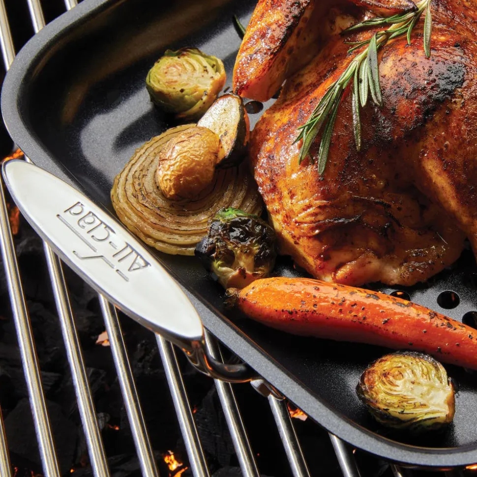 11-inch x 15-Inch Outdoor Grill Nonstick Roaster I All-Clad