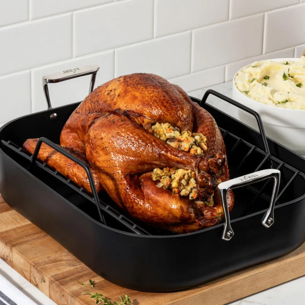 NS Pro Nonstick Cookware, Nonstick Roaster, 16 x 13 inch