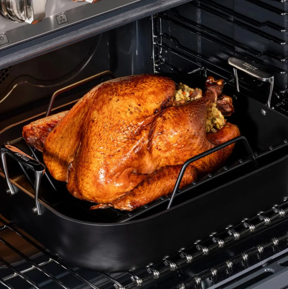 NS Pro Nonstick Cookware, Nonstick Roaster, 16 x 13 inch