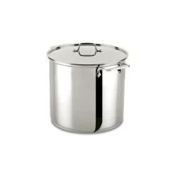 16 Quart | Large Stainless Steel Pot with Lid | All-Clad