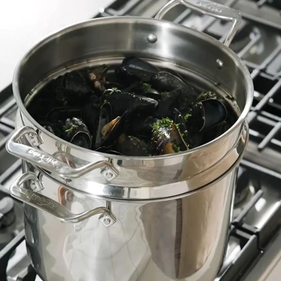 12-Quart Multipot with Insert / Big Batch Cooking with All-Clad