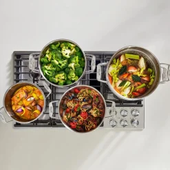 16-Quart Multipot with Insert / Large Capacity, All-Clad Durability