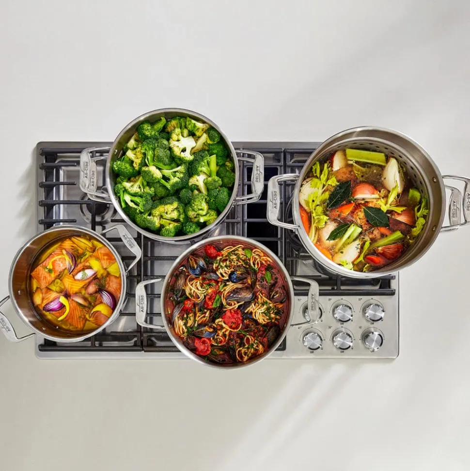 12-Quart Multipot with Insert / Big Batch Cooking with All-Clad