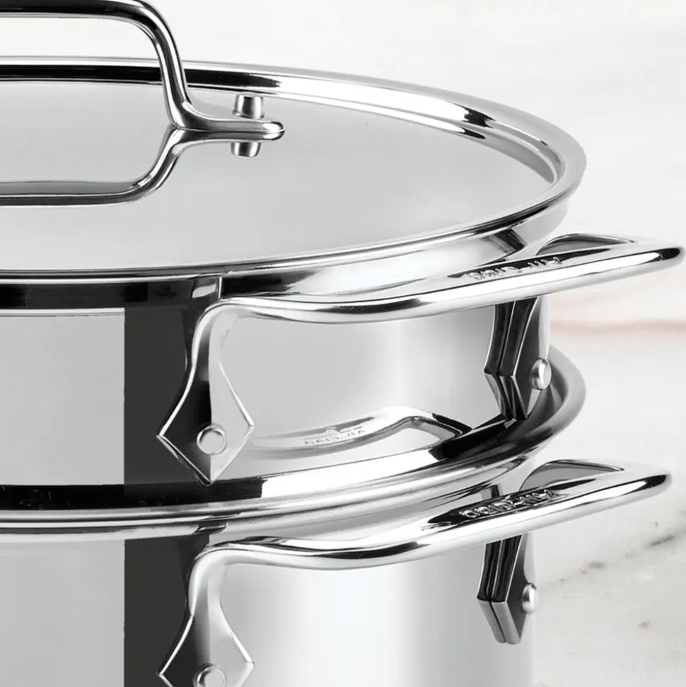 Stainless Steel Multi-Pot, Steaming Pot Insert | All-Clad