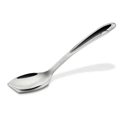 Stainless Steel Spoon I All-Clad